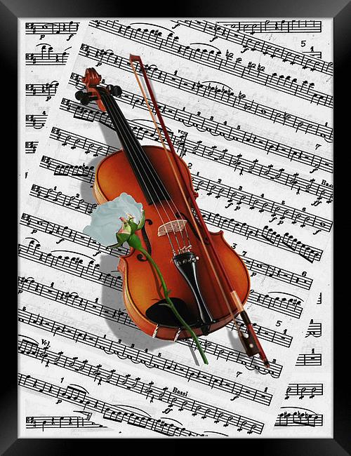 If music be the food of Love.. Framed Print by Susie Hawkins