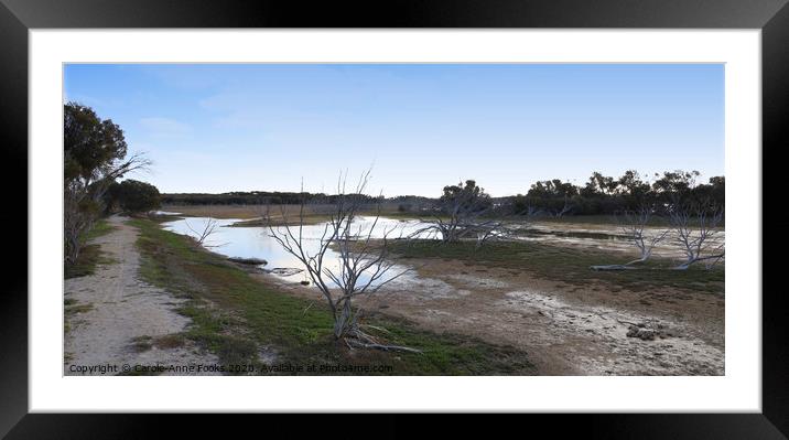 Late Afternoon Light at Murray Lagoon  Framed Mounted Print by Carole-Anne Fooks