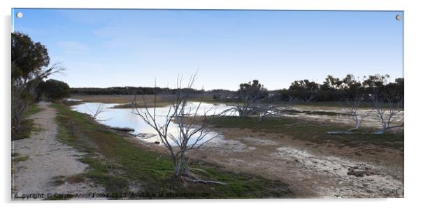 Late Afternoon Light at Murray Lagoon  Acrylic by Carole-Anne Fooks