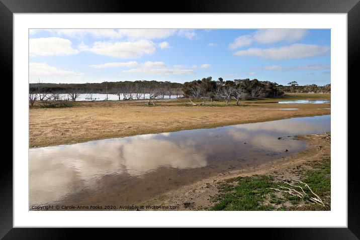 Murray Lagoon  Framed Mounted Print by Carole-Anne Fooks