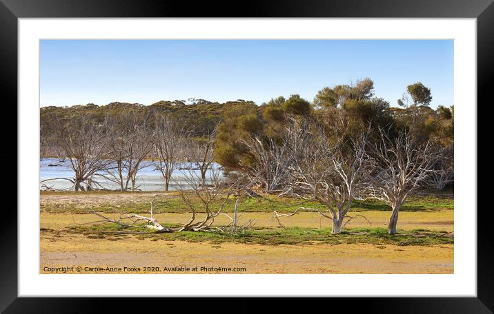 Murray Lagoon  Framed Mounted Print by Carole-Anne Fooks