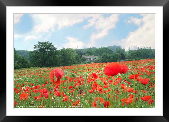 Country Poppies Framed Mounted Print by Alison Chambers