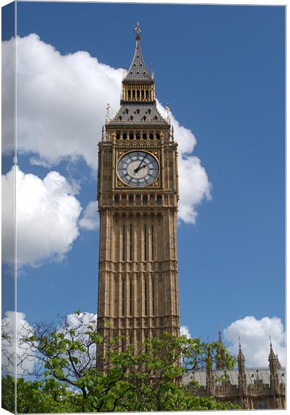 Palace of Westminster Canvas Print by Chris Day