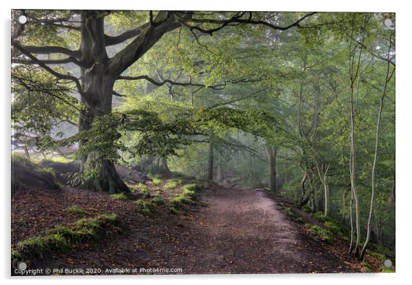 Misty Gelt Woods Acrylic by Phil Buckle