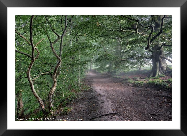 Gelt Woods Footpath Framed Mounted Print by Phil Buckle