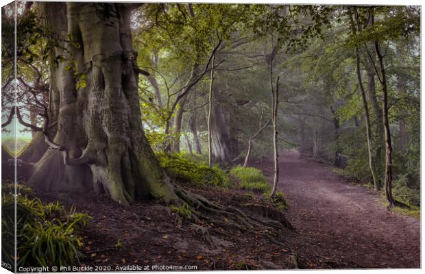 Gelt Woods Canvas Print by Phil Buckle