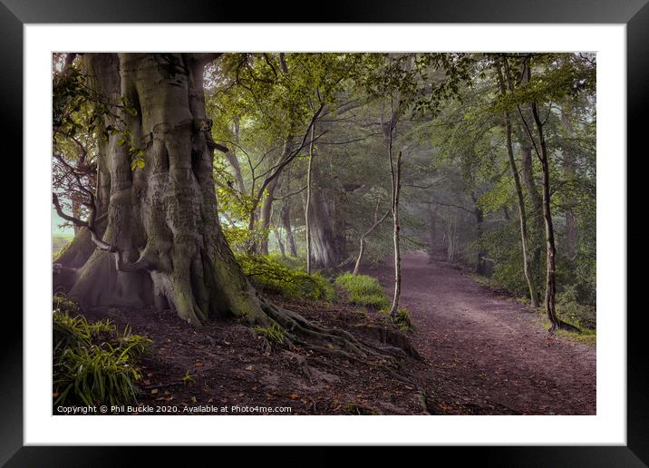Gelt Woods Framed Mounted Print by Phil Buckle