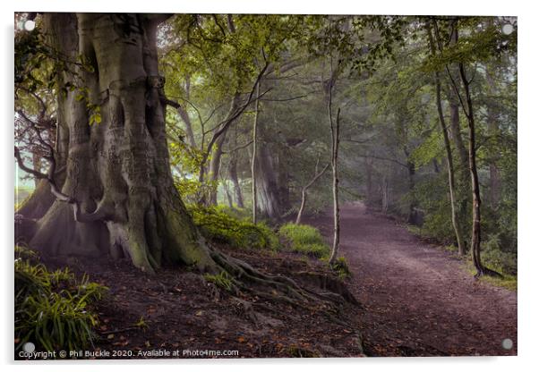 Gelt Woods Acrylic by Phil Buckle