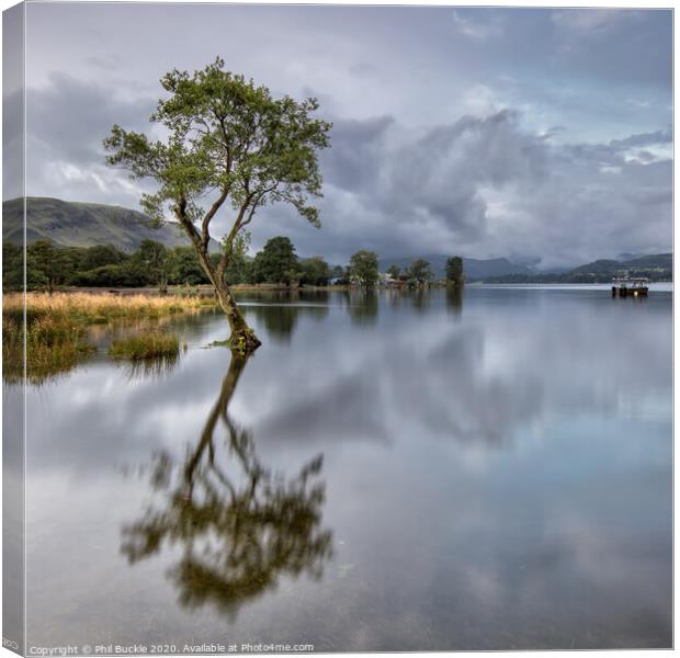 Ullswater Lone Tree Canvas Print by Phil Buckle