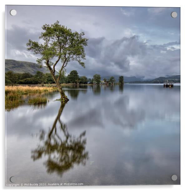 Ullswater Lone Tree Acrylic by Phil Buckle