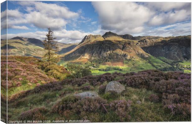 The Langdale Pikes Canvas Print by Phil Buckle