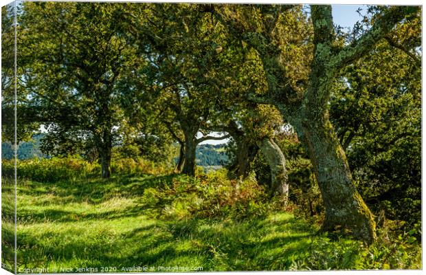 Oak trees around a local hillfort near Cardiff  Canvas Print by Nick Jenkins