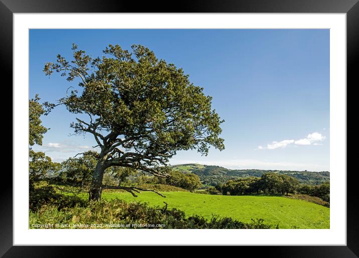 View of countryside below the Caerau Fort Framed Mounted Print by Nick Jenkins