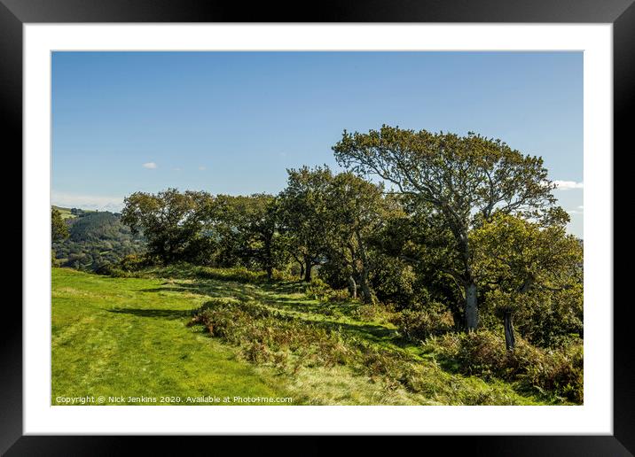 Row of Oak Trees at Caerau Hillfort South Wales  Framed Mounted Print by Nick Jenkins