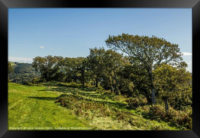 Row of Oak Trees at Caerau Hillfort South Wales  Framed Print by Nick Jenkins