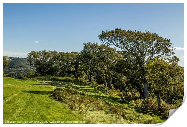 Row of Oak Trees at Caerau Hillfort South Wales  Print by Nick Jenkins