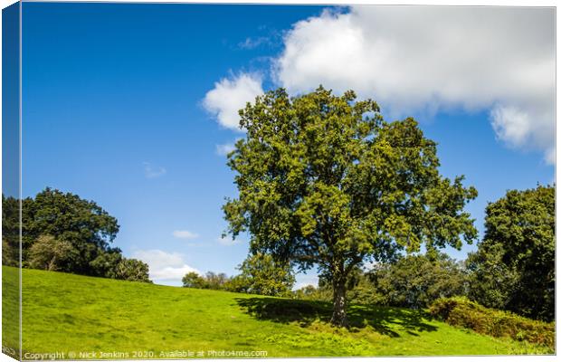 Trees on Hillfort of Caerau, Llantrisant, Wales Canvas Print by Nick Jenkins
