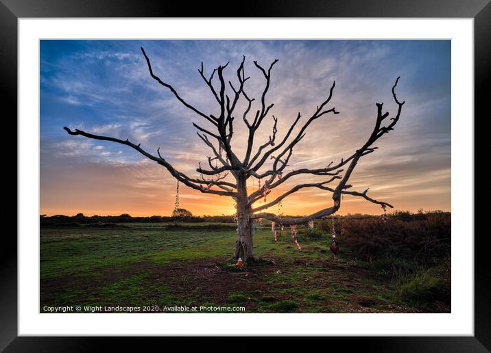 The Wishing Tree St Helens Framed Mounted Print by Wight Landscapes