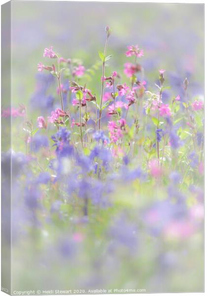 Bluebells and Red Campion in Portrait Canvas Print by Heidi Stewart