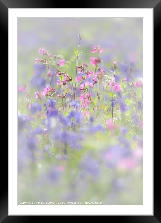 Bluebells and Red Campion in Portrait Framed Mounted Print by Heidi Stewart