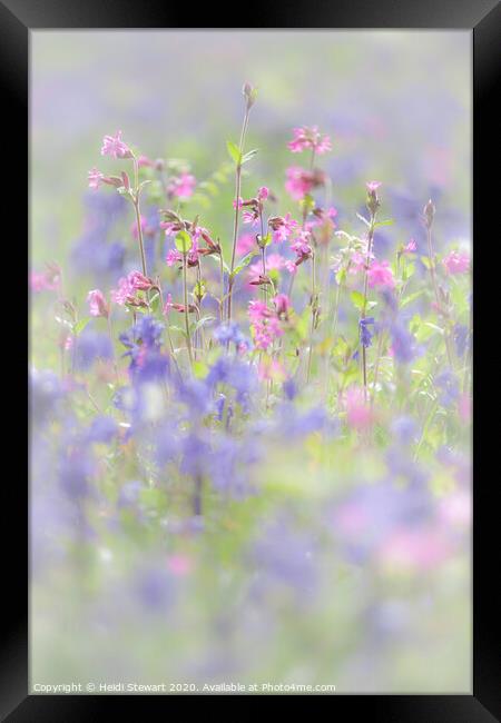 Bluebells and Red Campion in Portrait Framed Print by Heidi Stewart