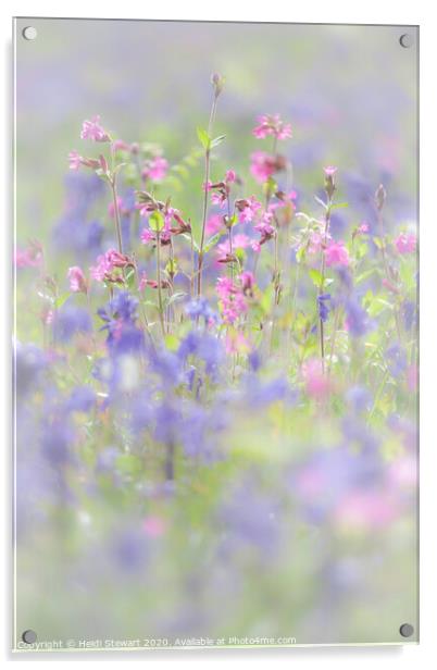 Bluebells and Red Campion in Portrait Acrylic by Heidi Stewart