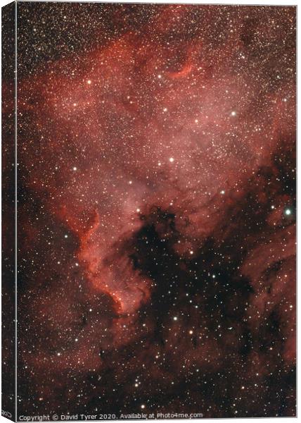 Cosmic Tapestry: The North American Nebula Canvas Print by David Tyrer