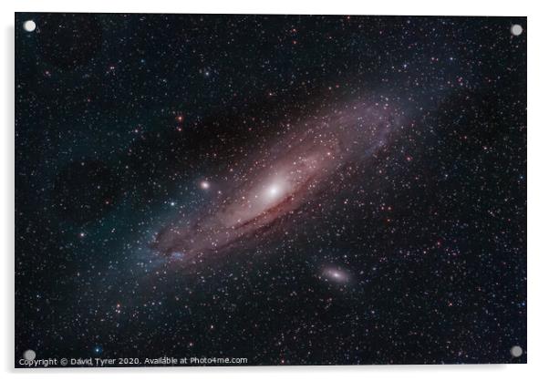 Andromeda's Celestial Dance Acrylic by David Tyrer
