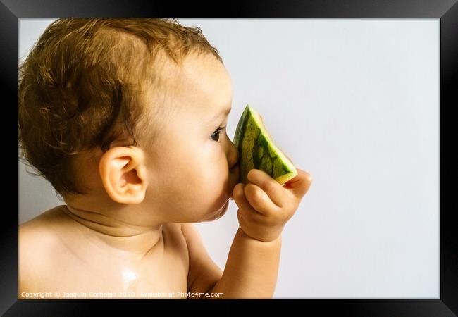Baby in profile eating a watermelon drooling and getting dirty with the sticky juice of the fruit. Framed Print by Joaquin Corbalan