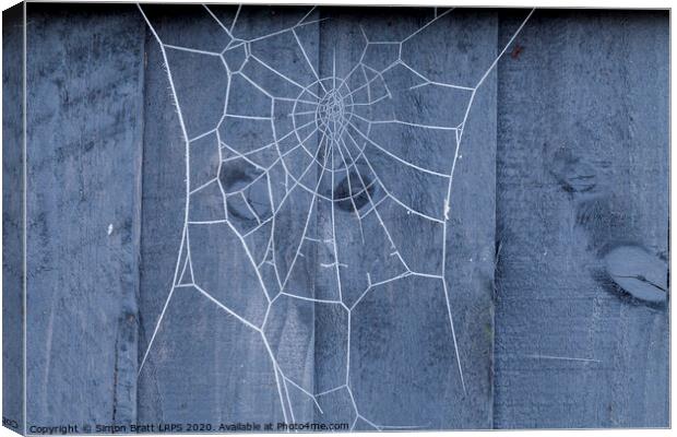 Spiders web on fence covered in ice Canvas Print by Simon Bratt LRPS
