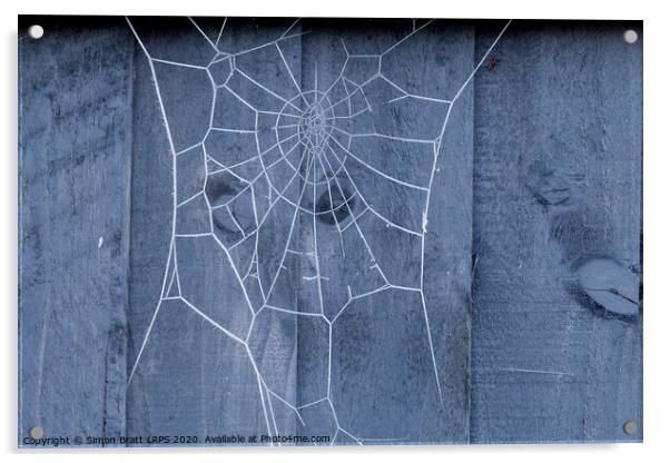 Spiders web on fence covered in ice Acrylic by Simon Bratt LRPS