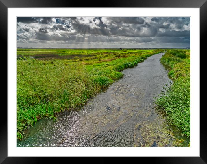 Skjern enge meadows flood delta in Denmark Framed Mounted Print by Frank Bach