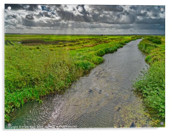 Skjern enge meadows flood delta in Denmark Acrylic by Frank Bach