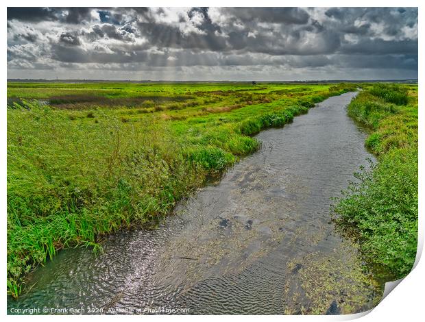 Skjern enge meadows flood delta in Denmark Print by Frank Bach