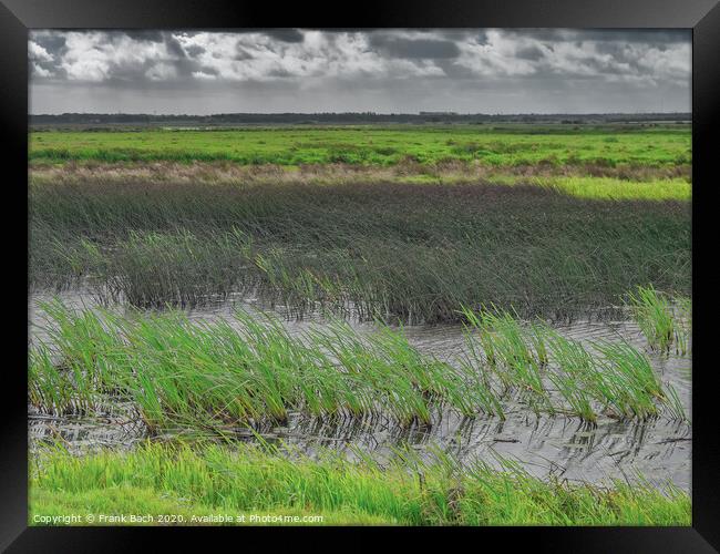 Skjern enge meadows flood delta in Denmark Framed Print by Frank Bach