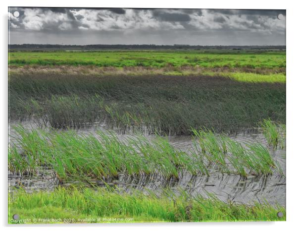 Skjern enge meadows flood delta in Denmark Acrylic by Frank Bach