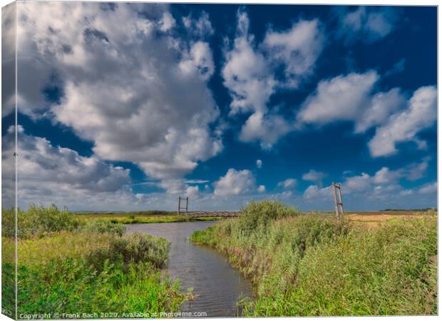 Kong Hans suspension  bridge in Skjern meadows Ringkoebing, Denmark Canvas Print by Frank Bach