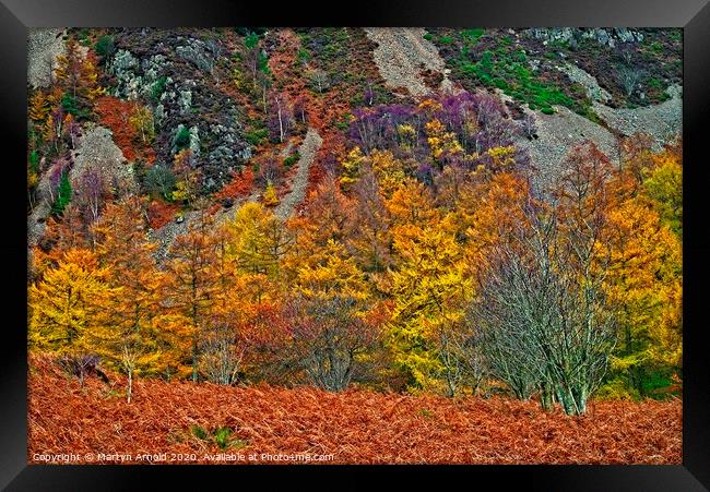 Natures Autumn Colours Framed Print by Martyn Arnold