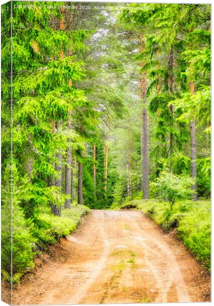 Green Forest Road Canvas Print by Taina Sohlman