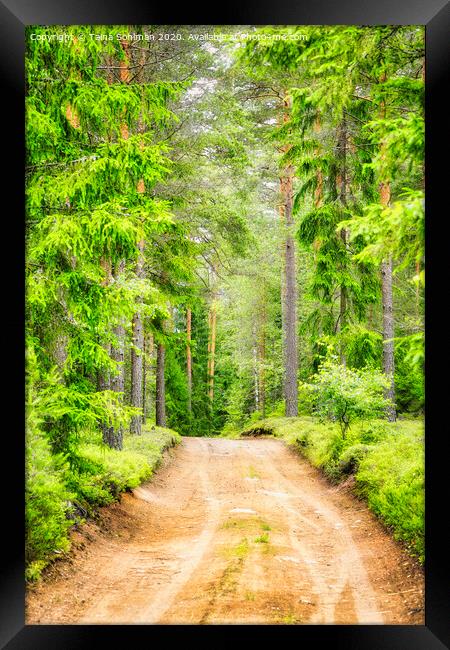 Green Forest Road Framed Print by Taina Sohlman