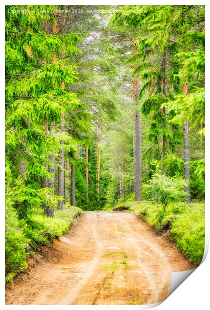 Green Forest Road Print by Taina Sohlman
