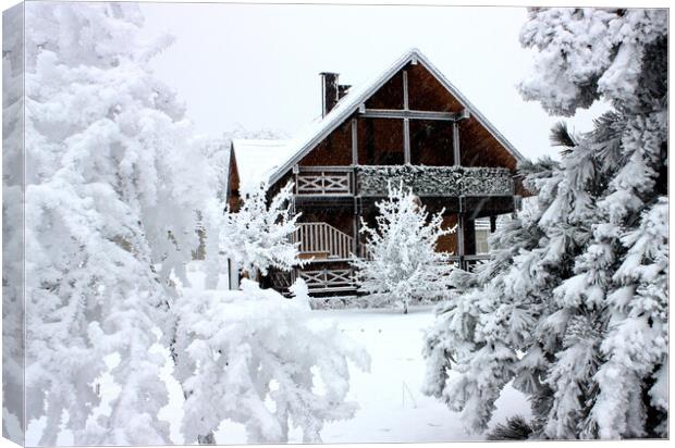 Cottage in winter.  Canvas Print by Mikhail Pogosov