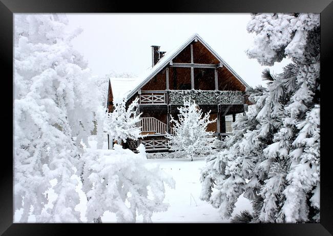 Cottage in winter.  Framed Print by Mikhail Pogosov
