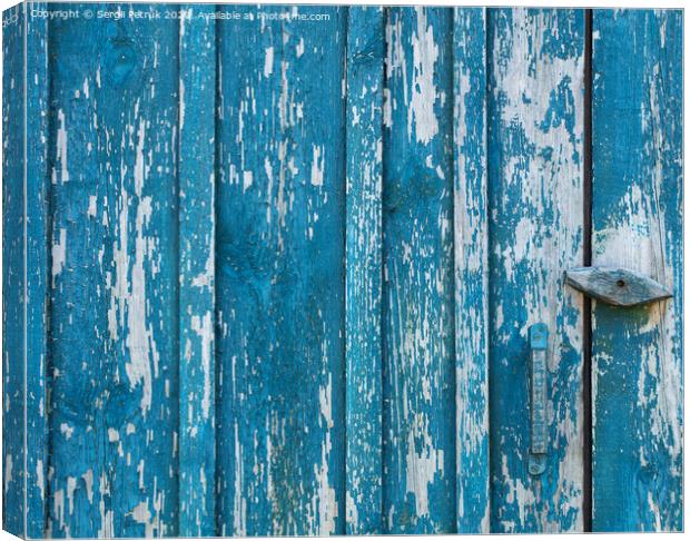 Old wooden door, boards, shabby paint, wooden texture Canvas Print by Sergii Petruk