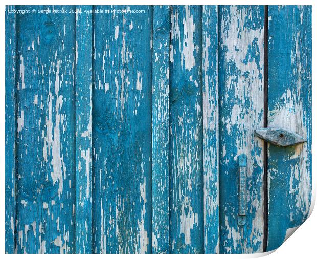 Old wooden door, boards, shabby paint, wooden texture Print by Sergii Petruk