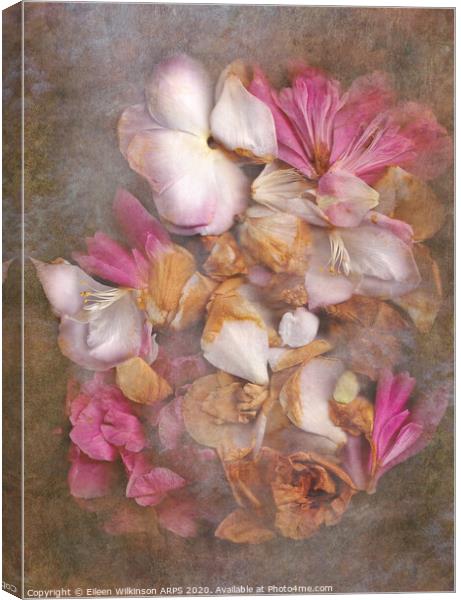Fallen petals Canvas Print by Eileen Wilkinson ARPS EFIAP