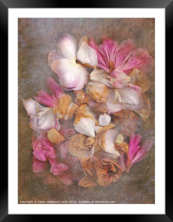 Fallen petals Framed Mounted Print by Eileen Wilkinson ARPS EFIAP