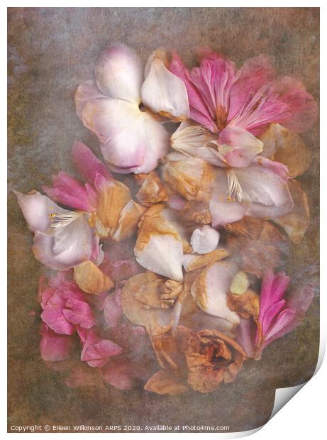 Fallen petals Print by Eileen Wilkinson ARPS EFIAP