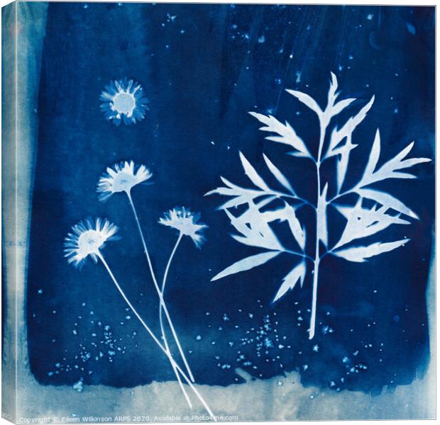 Midnight Blue Canvas Print by Eileen Wilkinson ARPS EFIAP