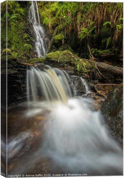 Double Waterfall Canvas Print by Ronnie Reffin